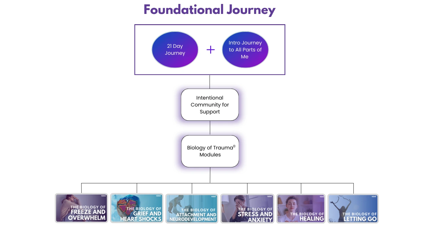 Biology of Trauma Dr. Aimie Foundational-Journey-2023-modules